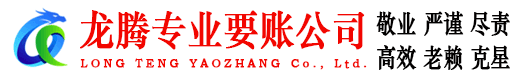 界首要债公司
